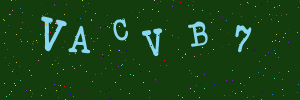 Validation image