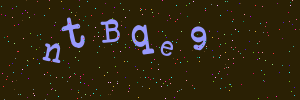 Validation image